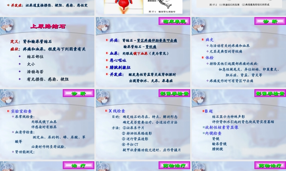 泌尿系结石与感染-秦教授.ppt