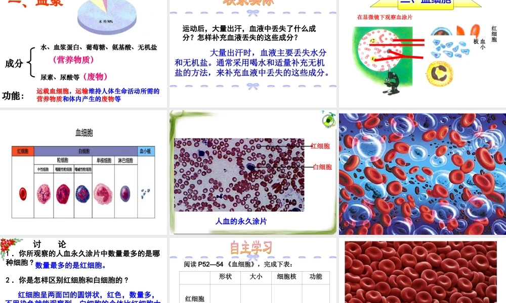 流动的组织—血液123456.ppt