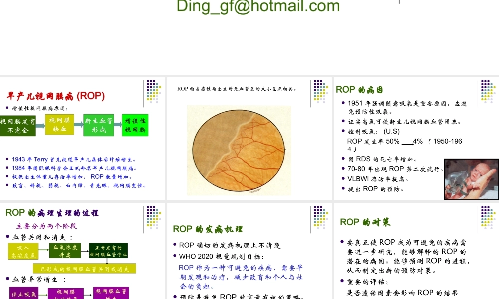 早产儿视网膜病.ppt
