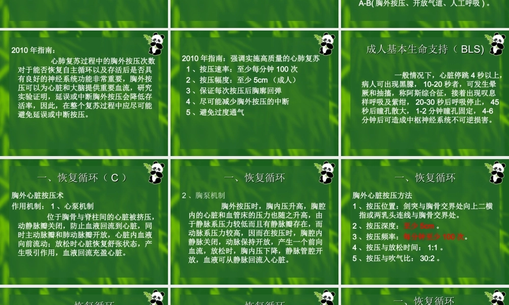 最新心肺脑复苏.ppt