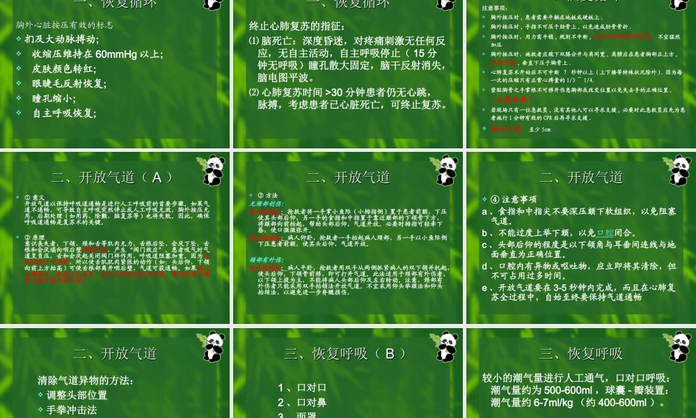 最新心肺脑复苏.ppt