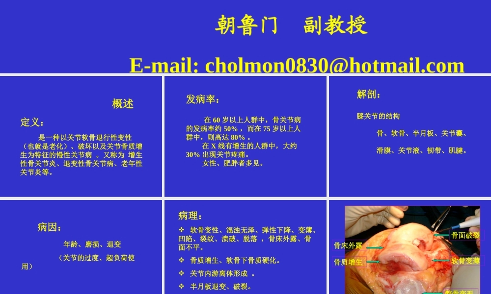朝鲁门-老年性骨关节病.ppt