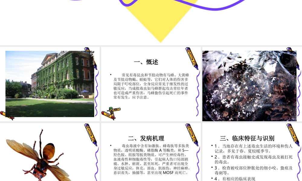 毒虫咬伤的救治.ppt