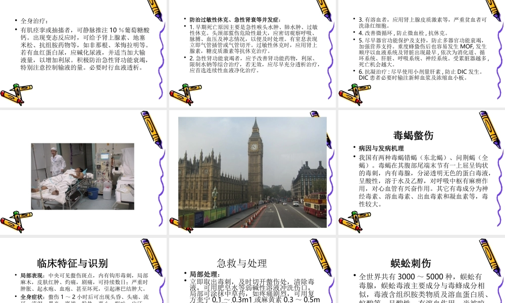 毒虫咬伤的救治.ppt