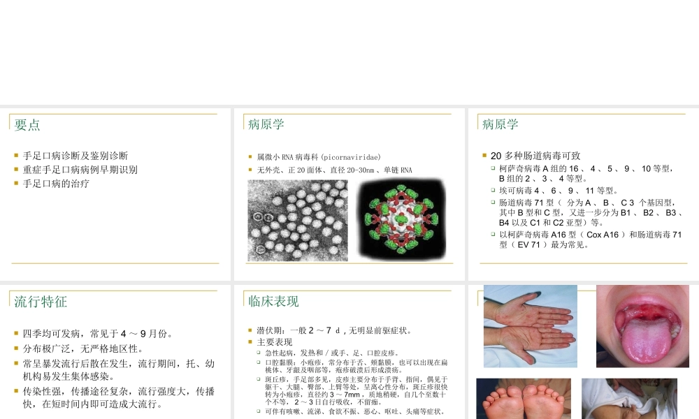 手足口病(1).ppt