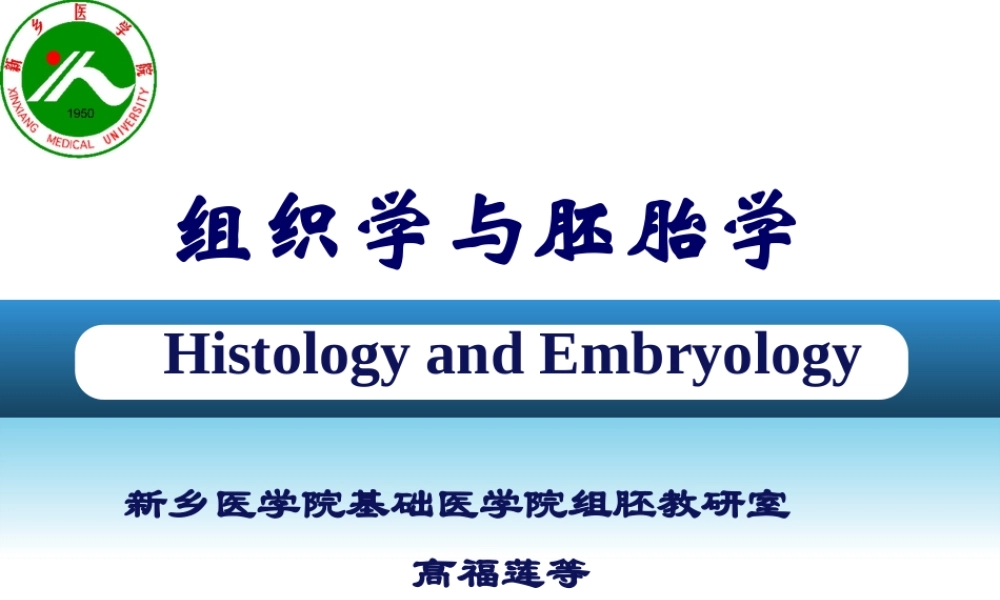 泌尿系统和生殖系统的发生.pptx