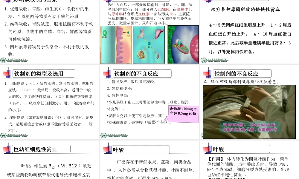 抗贫血药..ppt