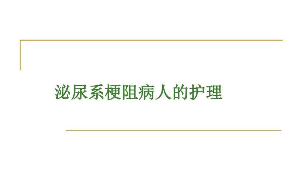 残余尿的测定.ppt