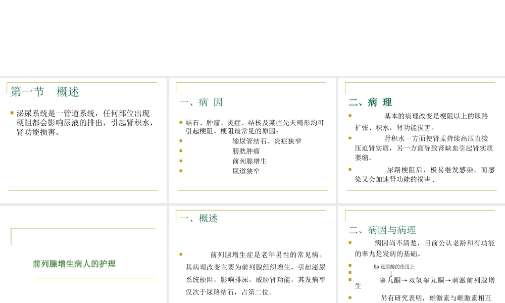 残余尿的测定.ppt