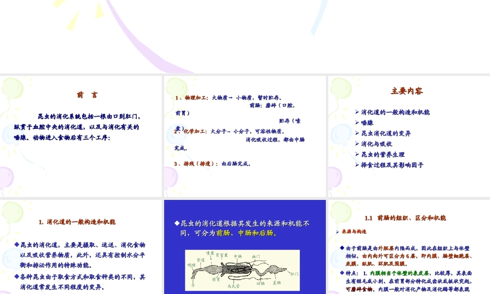 昆虫的消化系统.ppt