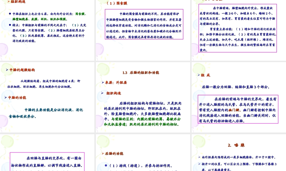 昆虫的消化系统.ppt
