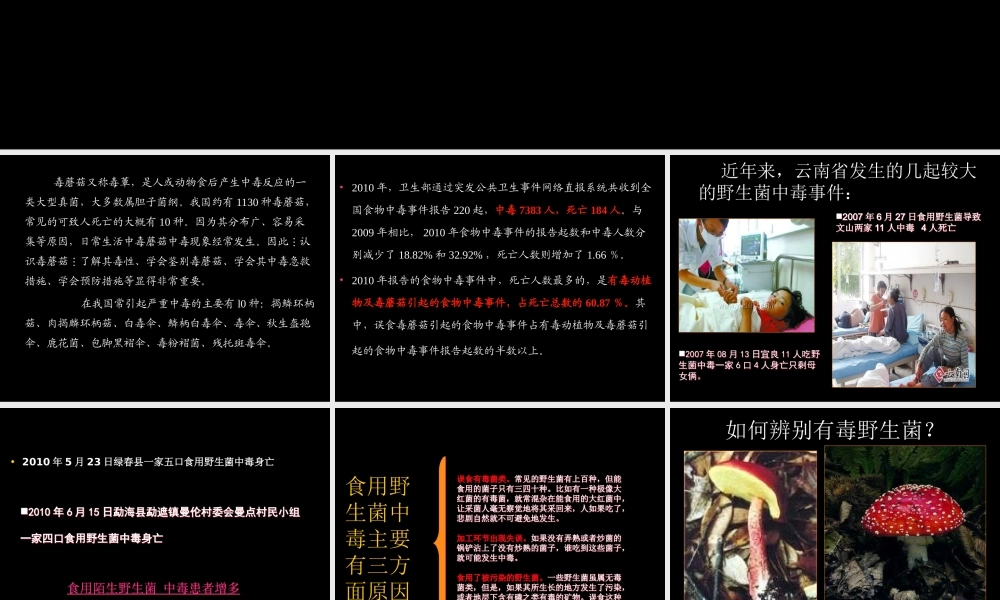 毒蘑菇的识别及中毒的救治.ppt