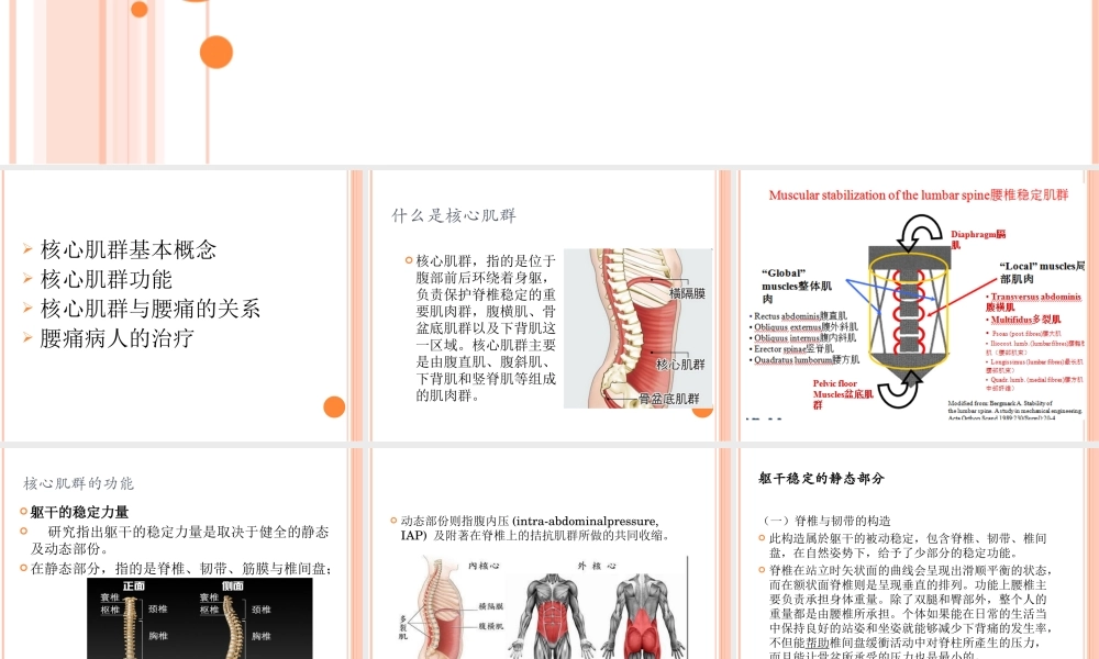 核心肌群与腰背痛.ppt