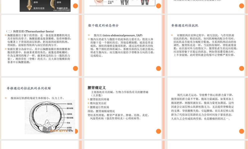 核心肌群与腰背痛.ppt