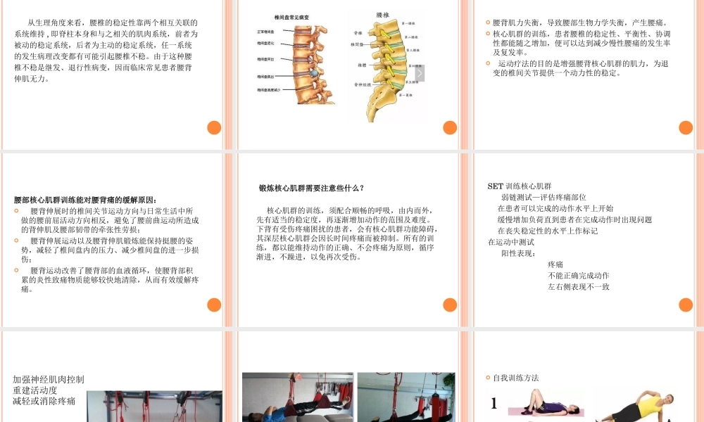 核心肌群与腰背痛.ppt