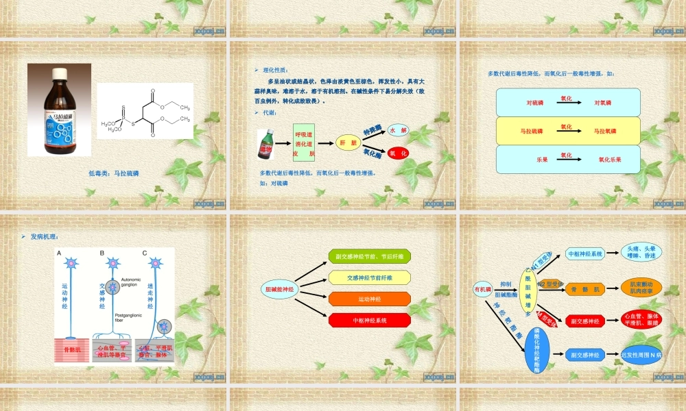 急性农药中毒.ppt