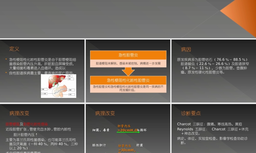 急性梗阻性化脓性胆管炎2.ppt