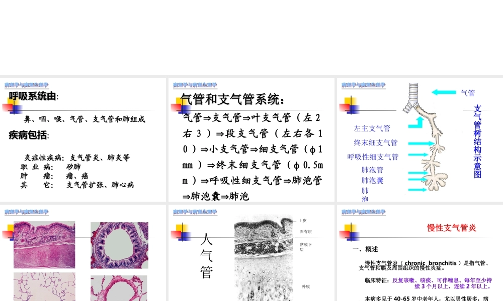 慢性支气管炎-肺炎.ppt