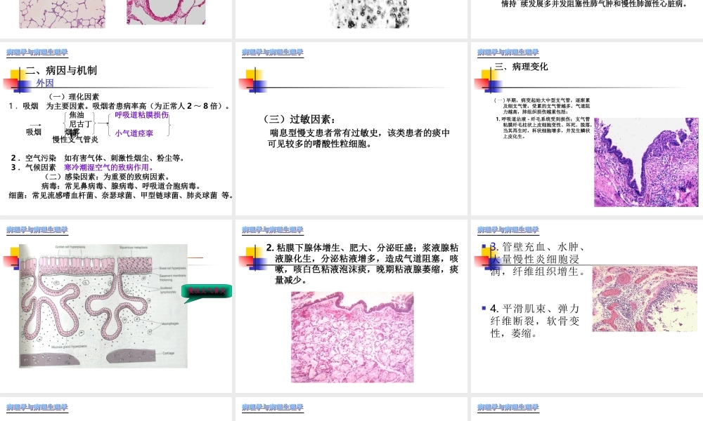 慢性支气管炎-肺炎.ppt