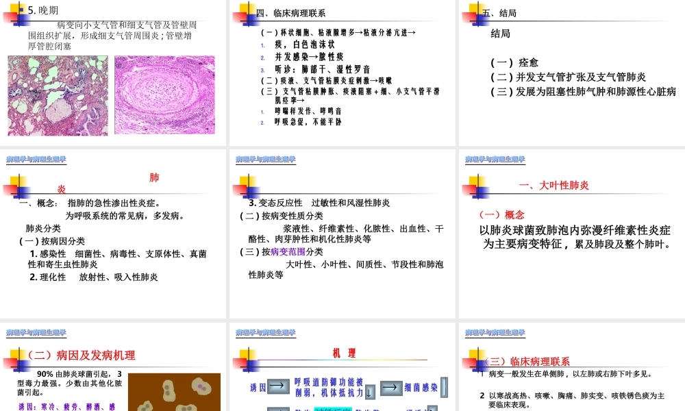 慢性支气管炎-肺炎.ppt