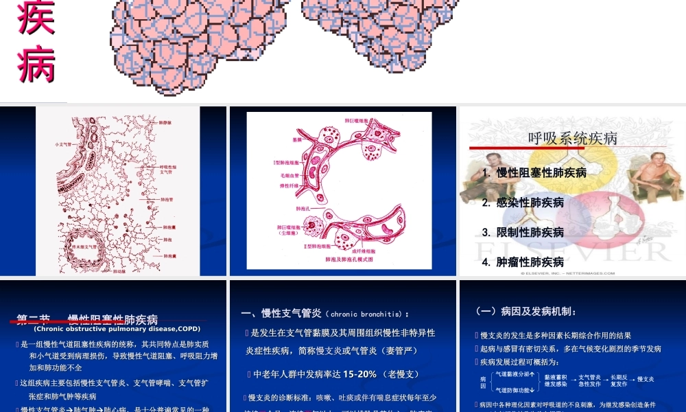 慢支炎肺气肿肺心病.ppt