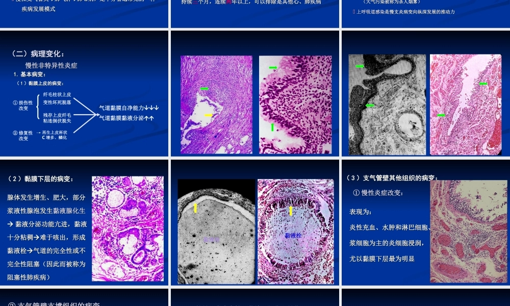 慢支炎肺气肿肺心病.ppt