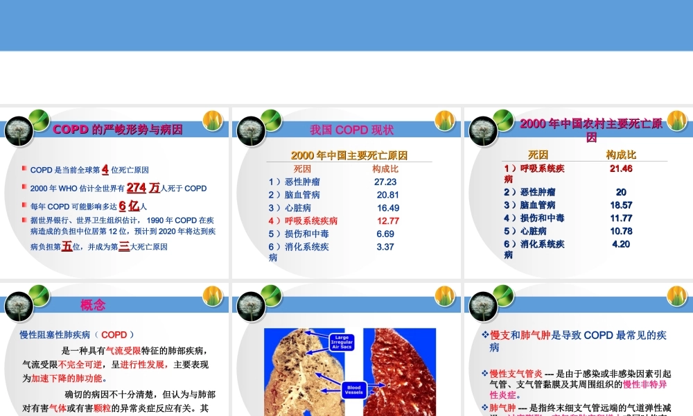慢阻肺与呼吸衰竭.ppt