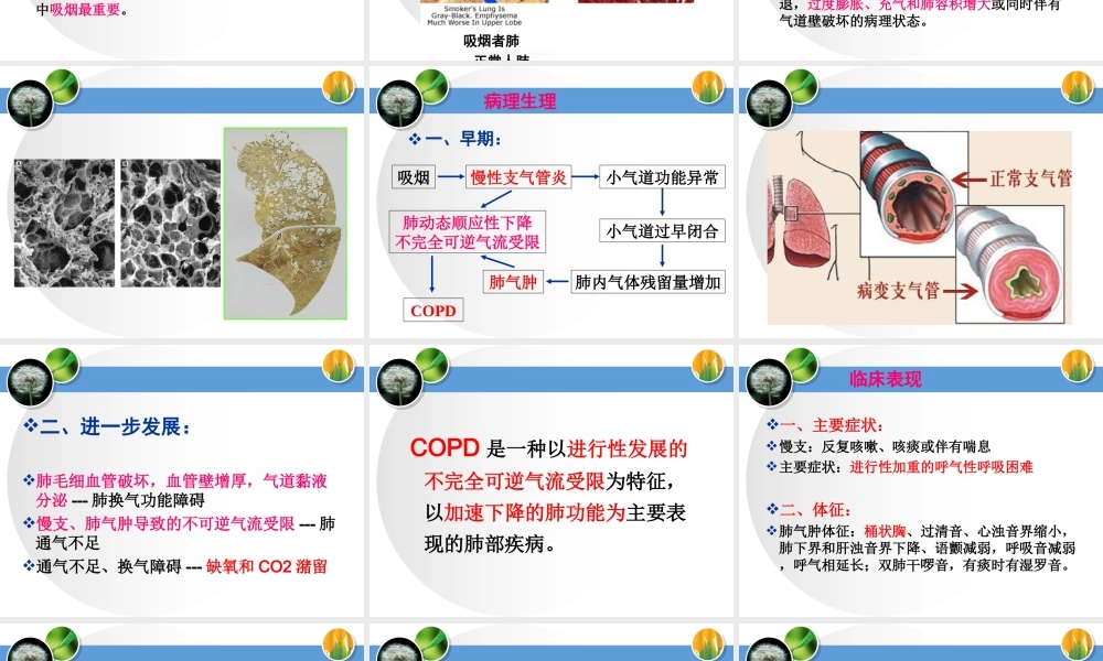 慢阻肺与呼吸衰竭.ppt