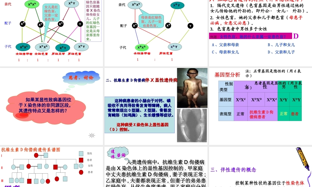 抗维生素D佝偻病是伴X显性遗传病.ppt