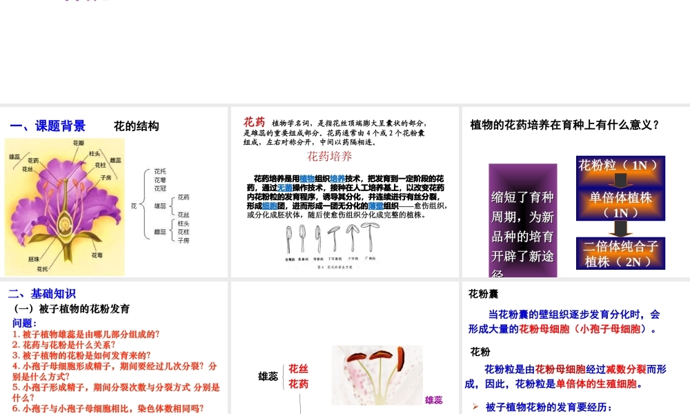 月季的花药培养MicrosoftPowerPoint幻灯片.ppt
