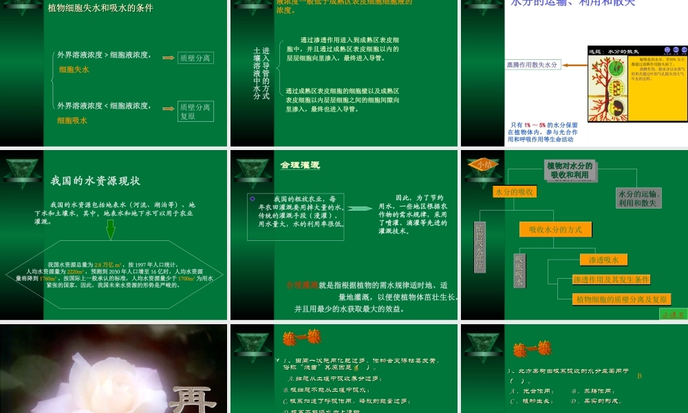 植物细胞失水和吸水的条件外界溶液浓度﹥细胞液浓度.ppt