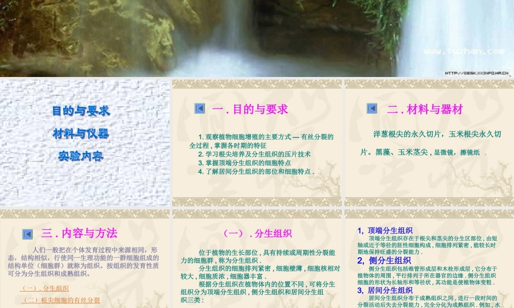 植物细胞的有丝分裂和分生组织.ppt