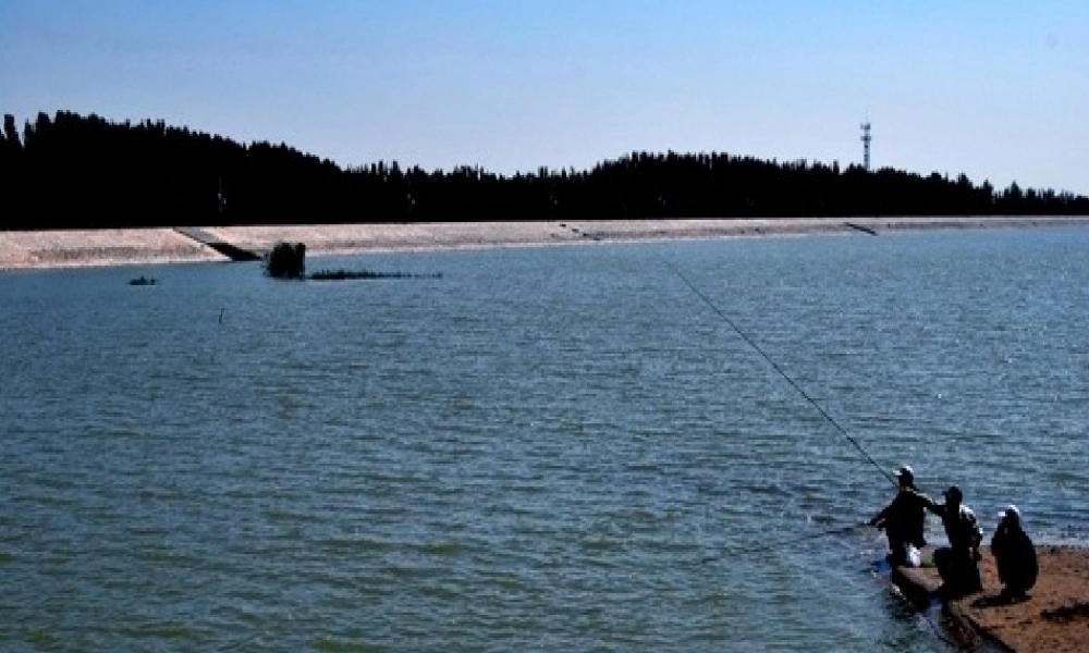 民勤协和医院-肛裂.ppt