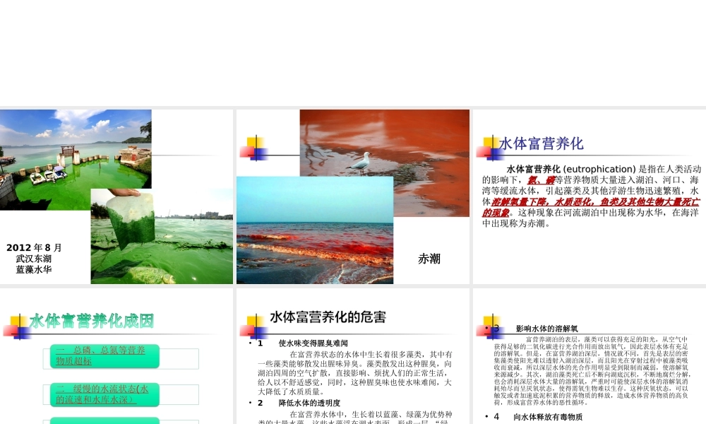 水体富营养化评价与治理.ppt