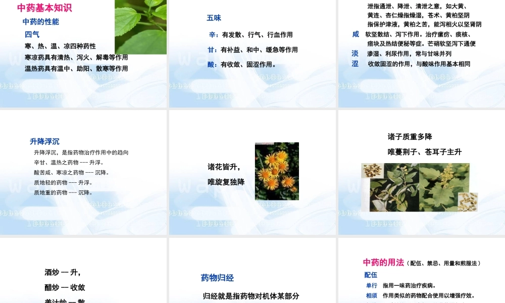 治则方药详解.ppt