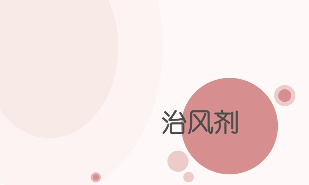 治风剂中成药.ppt