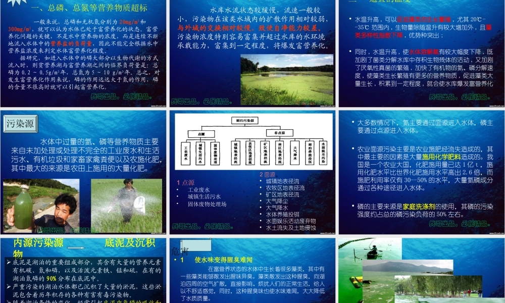 水体富营养化..ppt