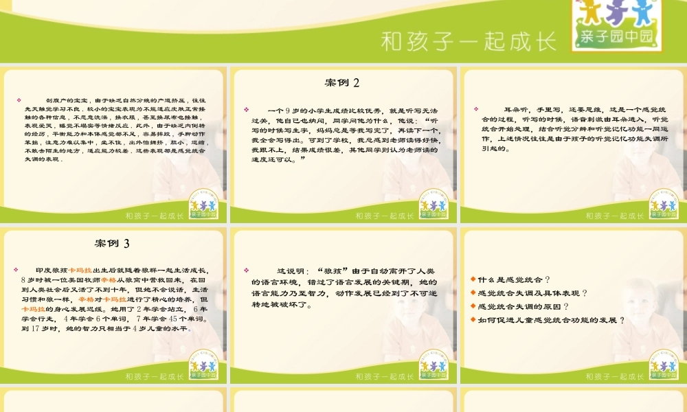 感统统合与儿童的成长.ppt