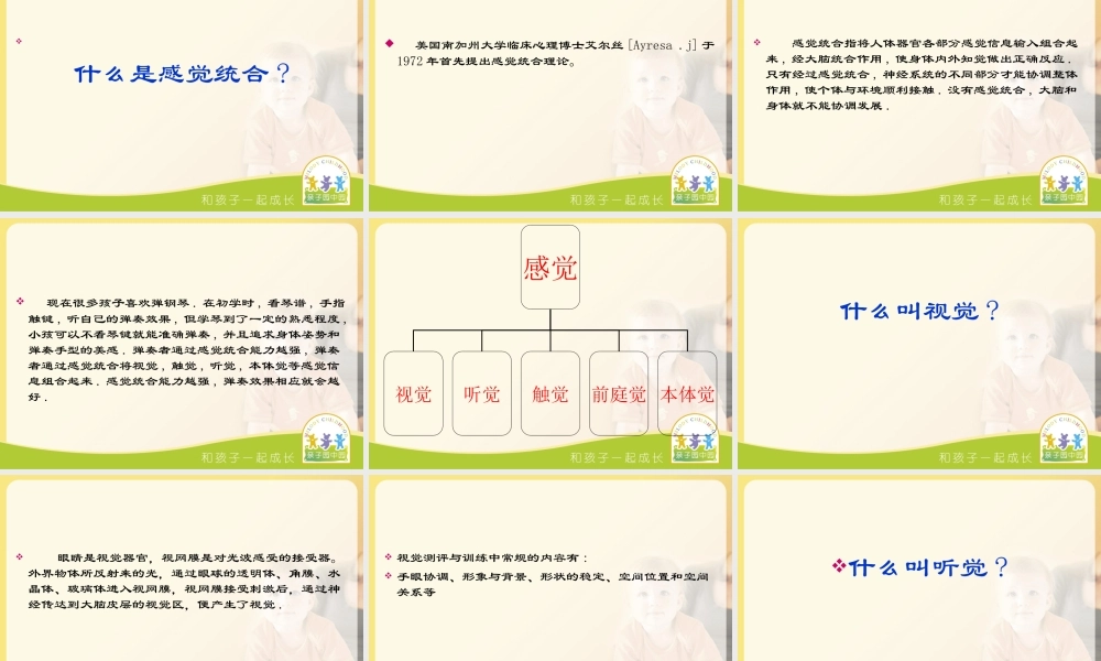 感统统合与儿童的成长.ppt