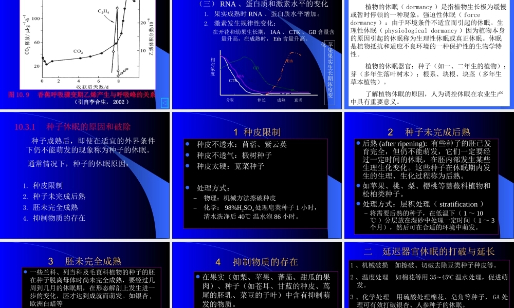 成熟衰老生理..ppt