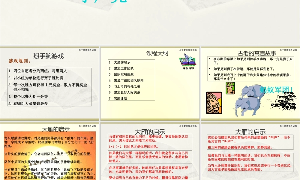 打造医院中层团队精神与高效执行力-丁广亮.ppt