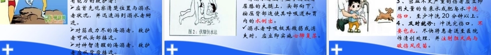急救常识PPT.ppt