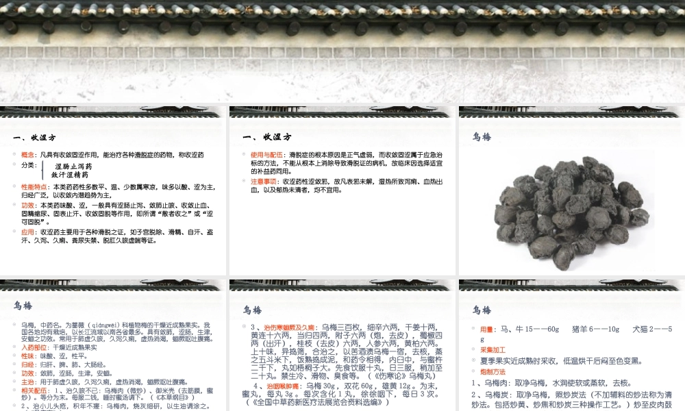 收涩药与收涩方剖析.ppt