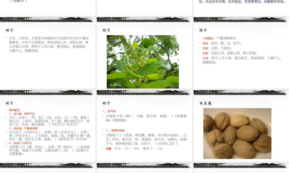 收涩药与收涩方剖析.ppt