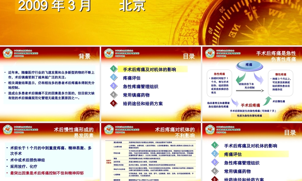 术后疼痛专家共识.ppt