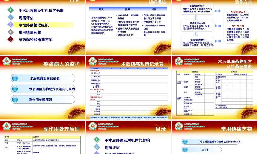 术后疼痛专家共识.ppt