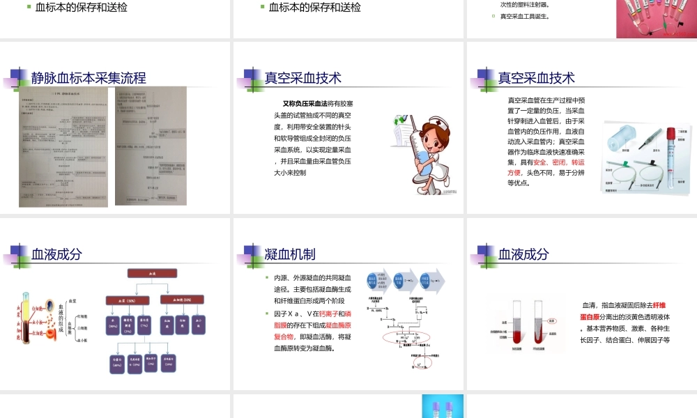 正确采集血标本-(1).ppt