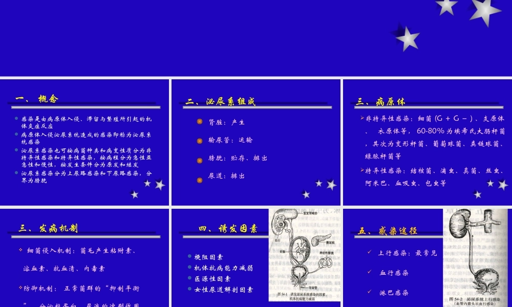 泌尿、生殖系统感染.ppt