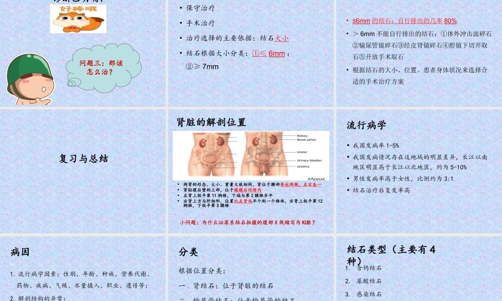 泌尿外科结石教学查房.ppt