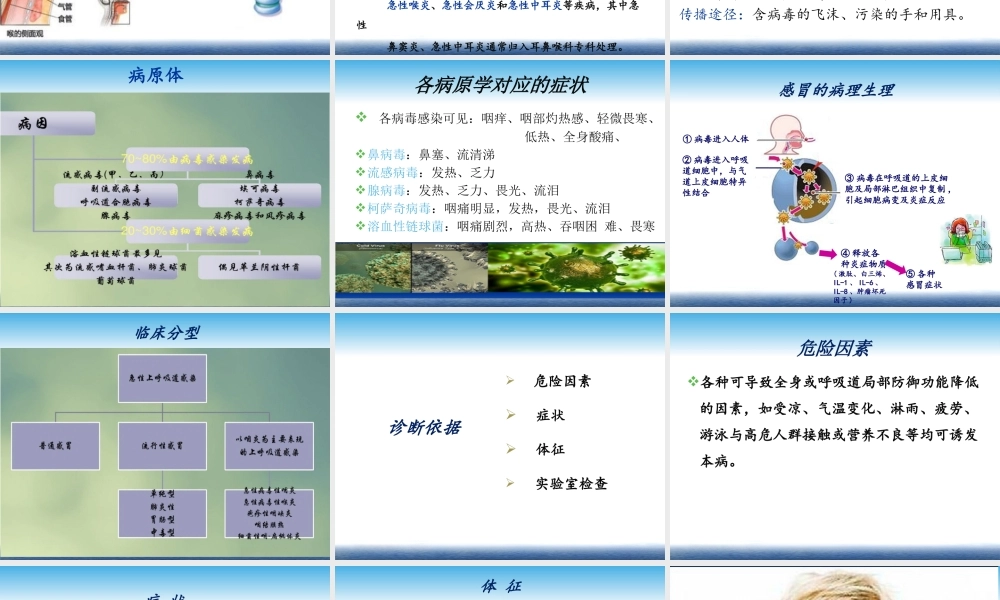 急性上呼吸道感染吴慧毅(最终版).pptx